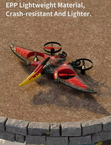 Dragon Remote Controlled Aeroplan L0713